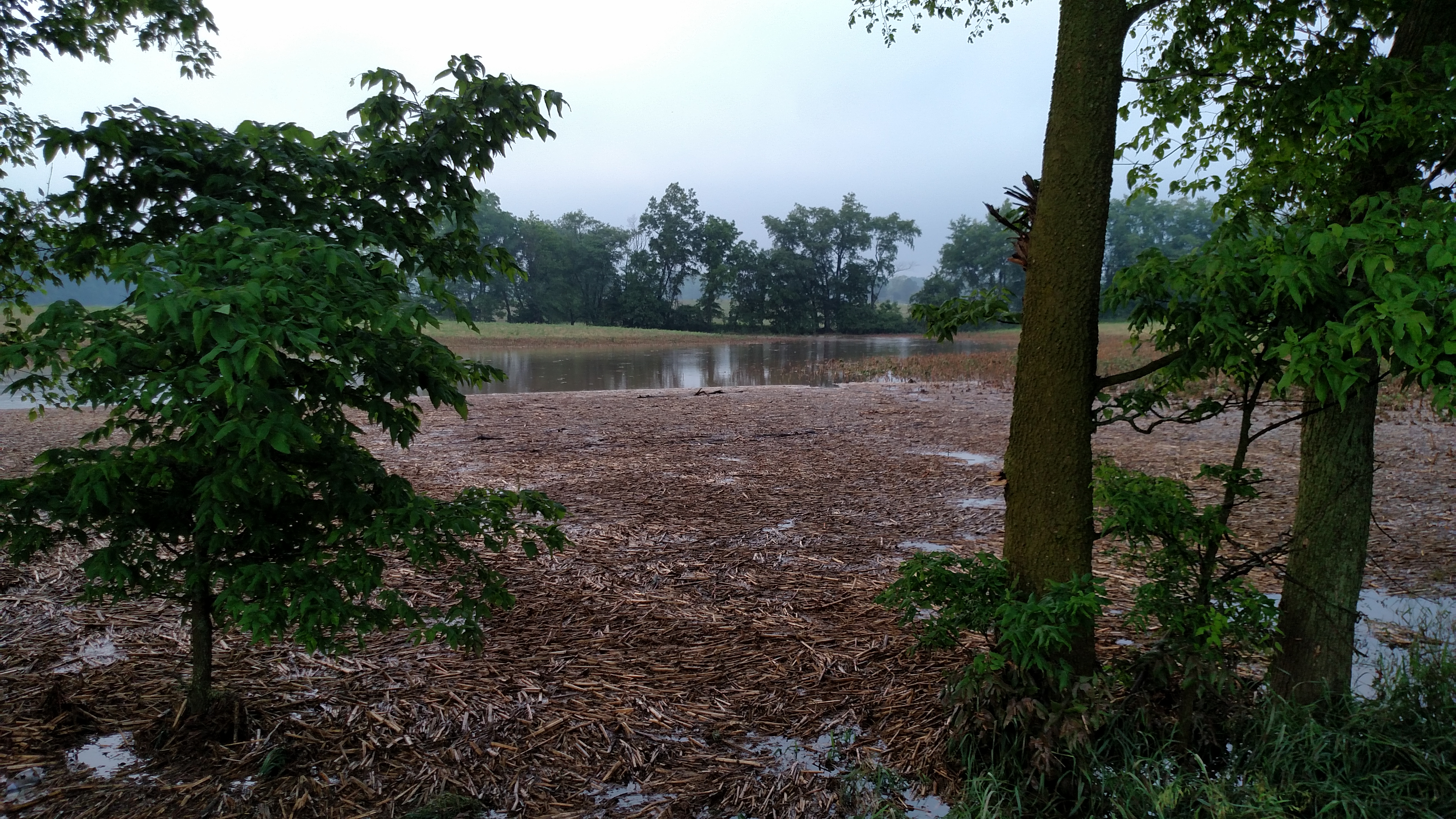 Corn flooding 6-9-18